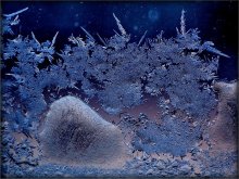 Nord Fantasie / ***