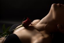 Velvet / .....