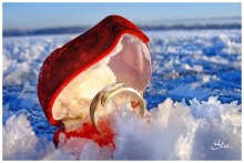 Moroz-Love / ***
