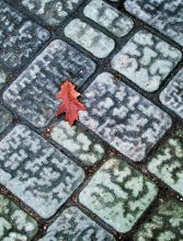 Herbst in der Stadt / ***