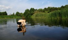 Wasserung / ***