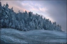 Hier Frost gewölbten Turm / ***