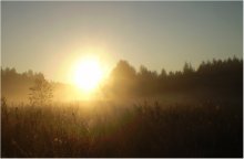 Morgendämmerung / ***