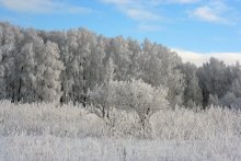 Frost ... / .................
