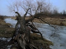 Ort der Kraft. Januar. / ...