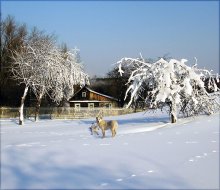 Haus im Dorf ... / ***