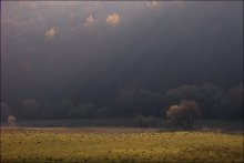 Eine Welt, in der ich ruhig / ***
