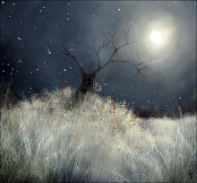 Golf ... Night ... Luna ... / ***