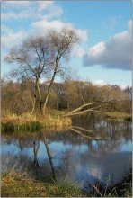 Herbst Bild / ***