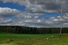 Lebenden und die Toten / ***
