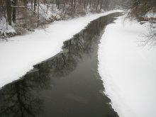 Weiße Stille / Red Cedar River, East Lansing, Michigan
