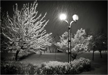 Der erste Schnee / *****