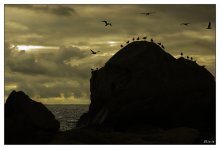 Vor dem Sturm / ***