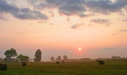 Dawns Zeit / ***