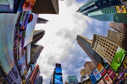 NY / Fifth Avenue in New York