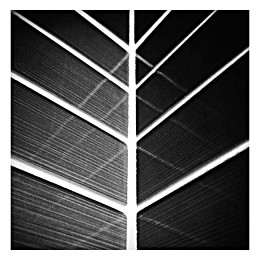  / /////
