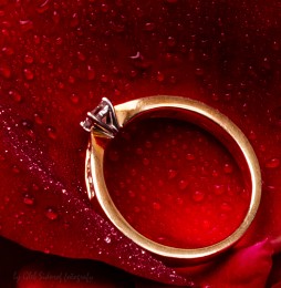 der ring / ***