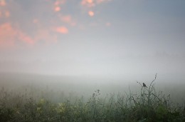Winzig / ***