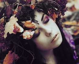 Wo sehen Sie Muse / ***