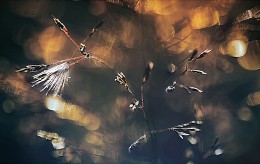 ..poymat Sonne .. / ***