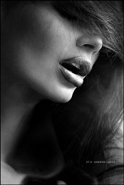 Scent of a Woman / ***