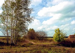 Herbst ist gekommen, / ***