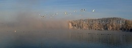 Dämmerung auf dem See / ***
