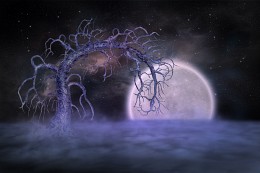 Baum des Himmels / ***