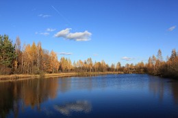 Herbst ist gekommen / ***