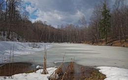Der Frühling kommt ... / ***