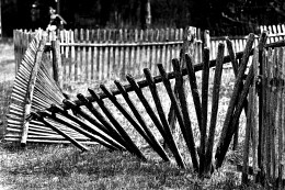 ehemalige Verteidiger / ***