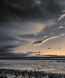 Ohne Titel / ***