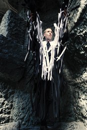  / ***