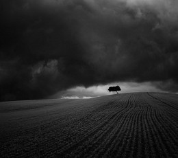 storm / ***