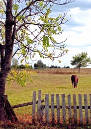 Herbstlicher Blick / ***