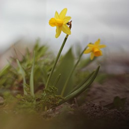 Treffen im April / ***