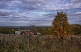 Schatten der Herbst- / ***