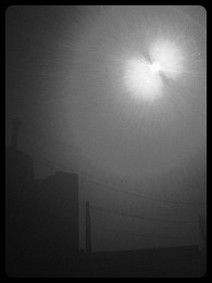 blackout / ***