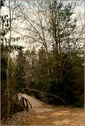 Brücke / ***