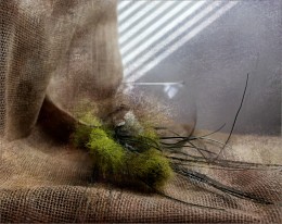 * Alte Lieder * / ***