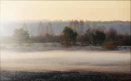 Frühling Nebel / ***