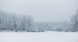Ruhig, nur beruhigen / ***