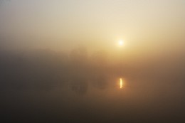 Ruhig, nur beruhigen / ***