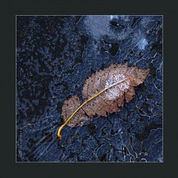 island 14 / music: 3-11 Porter-Surround Me With Your Love
http://www.youtube.com/watch?v=kLu-n73_EHI