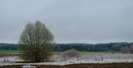 GreenGrey / ***