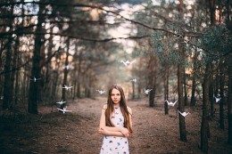 Birds / ***