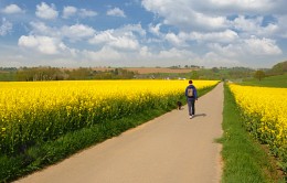 Der Geruch von Frühling / ***