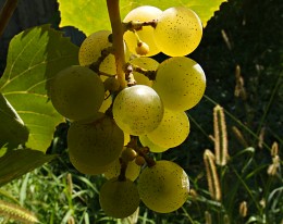 Haufen / ***
