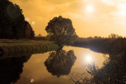 Spiegelung / ***