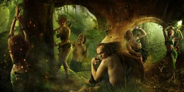 FOREST / ***